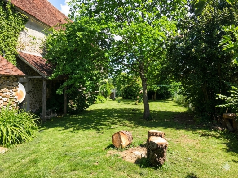 Gemini_Generated_Image_orbr58orbr58orbr